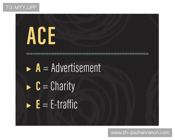 playace平台官网的客户服务与技术支持渠道全解析